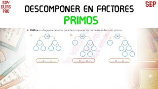 Descomponer en Factores Primos  Explicación clara y directa [upl. by Cinimmod375]