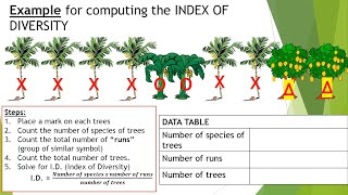 How to compute Index of Diversity and Population Density  Science 9 Q1 [upl. by Femmine]