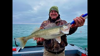 Lake Erie Walleye March Madness [upl. by Salman]