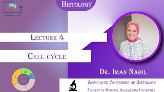 Histology cell cycle DrIman Nabil [upl. by Ahsaya]