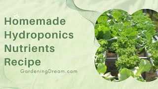 Homemade Hydroponics Nutrients Recipe [upl. by Frendel]