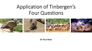 Tinbergens Four Questions Applications and a worked example [upl. by La]