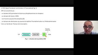 Récepteurs associés à des tyrosine kinases  Master  Biologie et santé [upl. by Einre640]