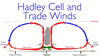 Geography Classics Hadley Cell Trade Winds and Deserts [upl. by Conte]