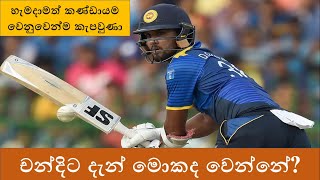 What Next for Dinesh Chandimal [upl. by Setiram]