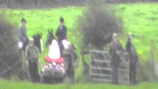 Terriermen try to capture a fox as the Pembrokeshire Hunt is passing [upl. by Bernarr]