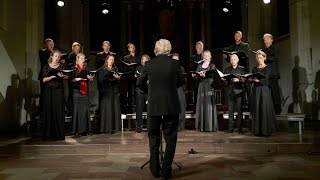 Brahms Waldesnacht  Mogens Dahl Chamber Choir [upl. by Taub15]