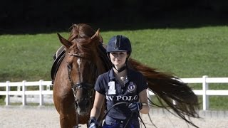 Reitanlage Sandberg  Pia Wilhelm  Equestrian Videographie [upl. by Mariana144]