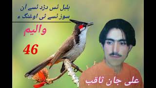 Ali Jan Saqib Brahui Song bulbul as dard asy an soz asy t ughing a [upl. by Riana]