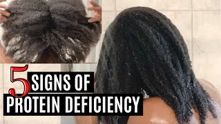 5 Signs Your Hair NEEDS a Protein Treatment  Protein Treatment for EXTREMELY DRY 4C Natural Hair [upl. by Natloz]