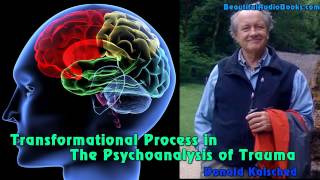 Transformational Process in the Psychoanalysis of Trauma by Donald Kalsched  part 2 [upl. by Ydwor907]