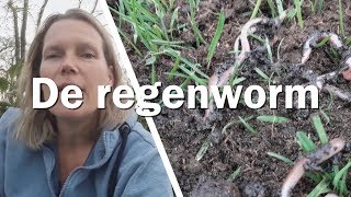 De Regenworm  Juf in de Natuur [upl. by Elletsyrk]