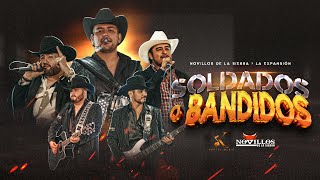 Novillos De La Sierra La Expansión  Soldados o Bandidos Video Oficial [upl. by Josler821]