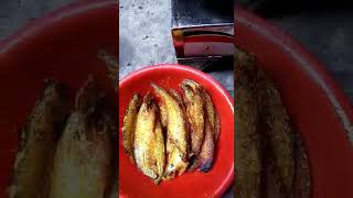 পাবদামাছ music song newsong food [upl. by Sabec]