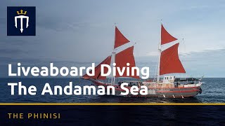 Liveaboard Diving the Andaman Sea aboard The Phinisi [upl. by Asilanom]