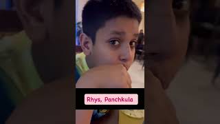 Rhys Panchkula Food Vlog trending viral shorts [upl. by Keener]