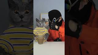 Are You Also Grossed Out By This Peanut Butter Prank🤧 funnycat prank funnyeffects [upl. by Ender]