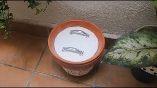 How to recycle a terracotta pot [upl. by Onra]