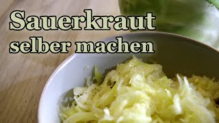 Sauerkraut selber machen  schnell und einfach Weisskohl fermentieren Vegan und Rohkost [upl. by Myers]