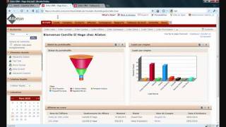 Demo Zoho CRM  Gestion de Leads  Aliston [upl. by Norehc979]