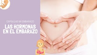 Las hormonas en el embarazo  Cápsulas Mi Embarazo [upl. by Eelahc289]