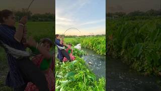 Unique Fishing Video fishingtechniques girlsfishingbass fishingmethods hookfishtrap villagelife [upl. by Aihsiek]