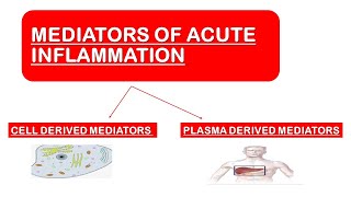 Mediators of Acute Inflammation [upl. by Innos]