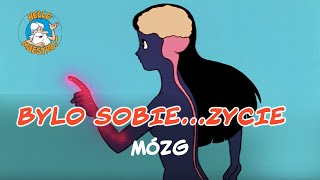 Bylo Sobie Zycie 🌱 Mózg 🧠 [upl. by Lemaj]