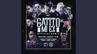 El Gatito de Mi Ex Remix [upl. by Volpe]