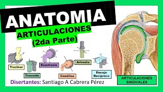 ▌ANATOMÍA ▌ARTROLOGIA 2da Parte ▌ARTICULACIONES SINOVIALES ▌DIARTROSIS Y DIARTROANFIARTROSIS ▌ 💀 [upl. by Yance]