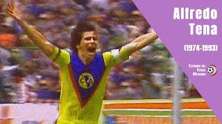 ALFREDO TENA y el mejor AMÉRICA de la historia 19741993 [upl. by Buchbinder]