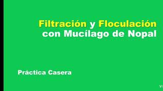 Floculación con mucílago de nopal Práctica casera [upl. by Pubilis760]