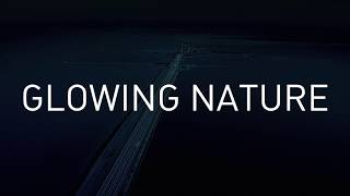 GLOWING NATURE by Daan Roosegaarde OFFICIAL VIDEO [upl. by Oicnecserc]