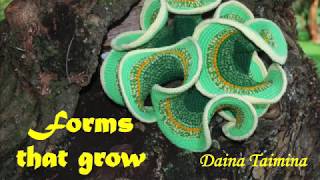 Daina Taimina at On Growth and Form 100 years in Amsterdam [upl. by Angus]