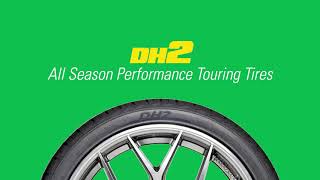 Delinte Tires 2019  DH2 All Season Performance Touring Tire [upl. by Corabelle308]