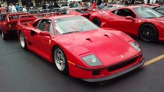 Ferrari F40Insane Revving  Sound [upl. by Demb517]