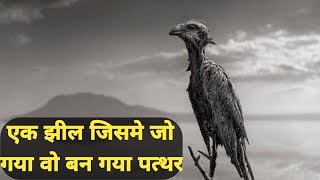 इस झील मे जो गया वो बन गया पत्थर [upl. by Ayotan]