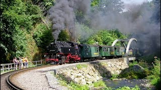 Vorfreude bei den Fans der Weißeritztalbahn [upl. by Pippo160]