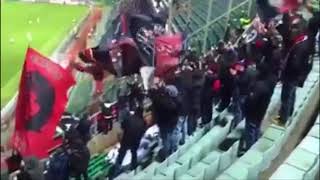 ULTRAS FOGGIANI A PALERMO [upl. by Harbison468]