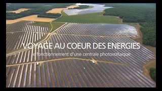 Comment une centrale solaire photovoltaïque transforme la lumière en électricité  EDF [upl. by Boggs636]