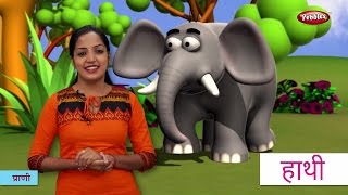 Animal Names in Hindi  हिंदी में प्राणियों के नाम सीखे  Hindi Animal Names For Children [upl. by Cirde]