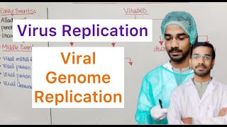 Virus Replication  Viral Genome Replication [upl. by Ynabla871]