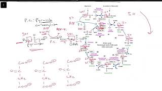 Carbon Tracing Basics 44 [upl. by Greiner]