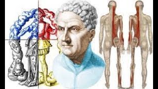 Dissection Contributions of claudius Galen to the study of Anatomy [upl. by Trin]