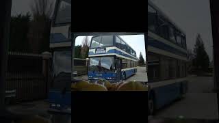 Minions rate delaine s buses [upl. by Haidabez]