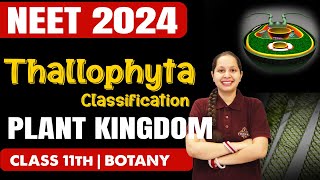 THALLOPHYTA Classification  Plant Kingdom  Botany  NEET 2024  Class 11th Biology neet2024 [upl. by Llertram156]