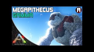 Ark Survival Evolved  SOLO Gamma Megapithecus Boss Fight [upl. by Alhak]