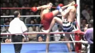 Peter Aerts Greatest Knockouts [upl. by Analim406]