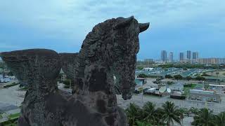 Pegasus and Dragon Hallandale Beach [upl. by Papke899]