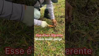 detectorismo acha de tudo 🤯 metaldetecting botija achados [upl. by Eeuqram]